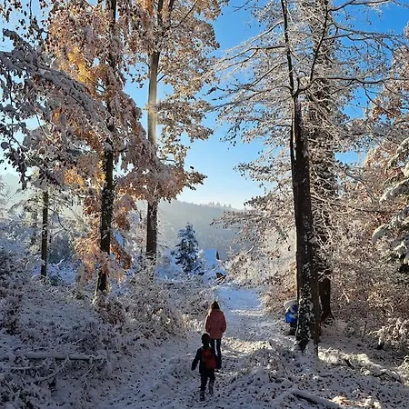 Traumwohnung Mit Eigenem Garten Διαμέρισμα Μπάντενβαϊλερ