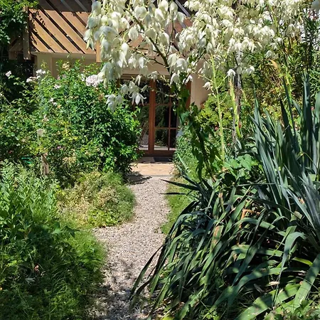 Traumwohnung Mit Eigenem Garten * Μπάντενβαϊλερ