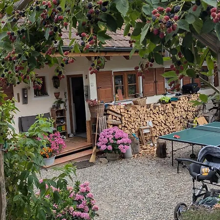 Traumwohnung Mit Eigenem Garten *