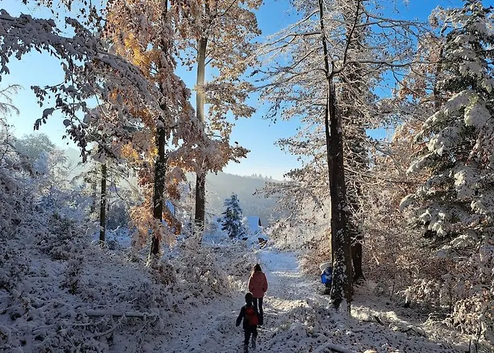 Traumwohnung Mit Eigenem Garten Apartament Badenweiler