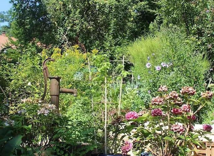 Traumwohnung Mit Eigenem Garten