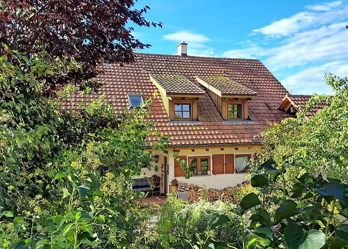 Traumwohnung Mit Eigenem Garten Badenweiler