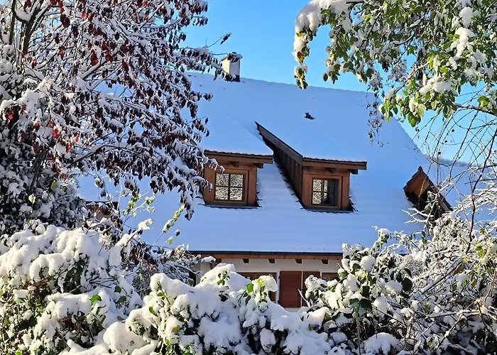 Traumwohnung Mit Eigenem Garten