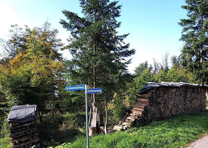 Traumwohnung Mit Eigenem Garten Badenweiler